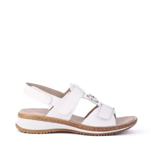 29001 White