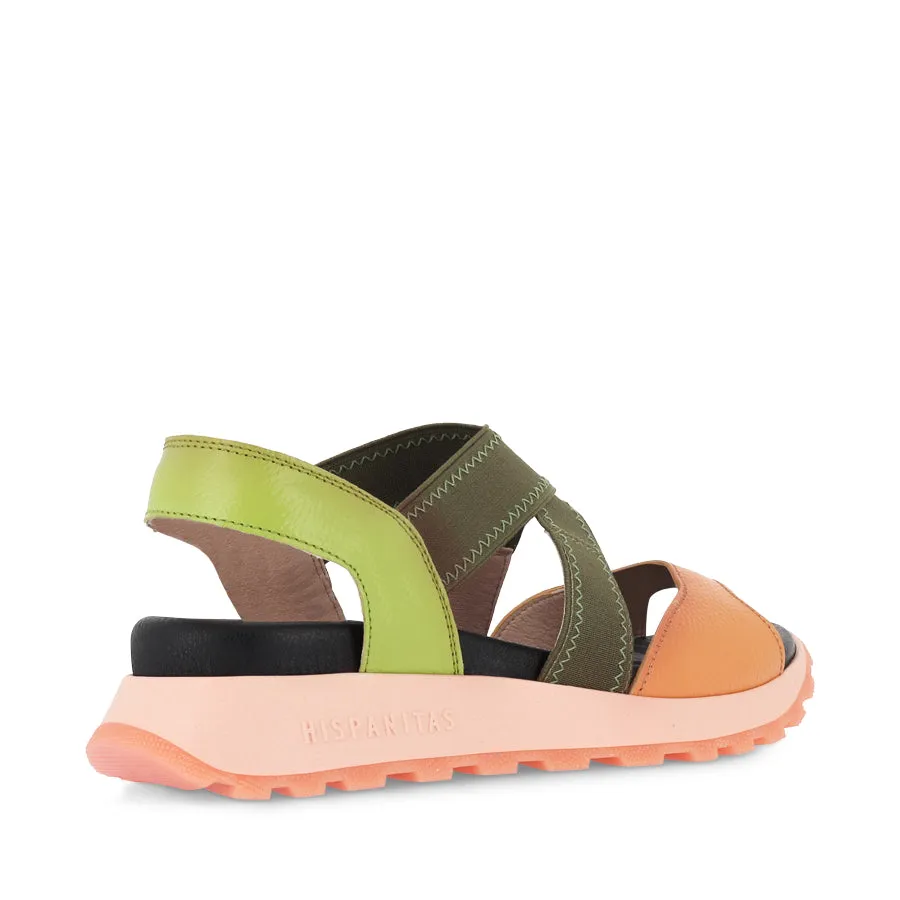 MAUI - KIWI MULTI