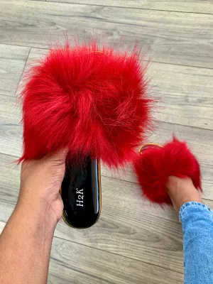 NOVA - RED