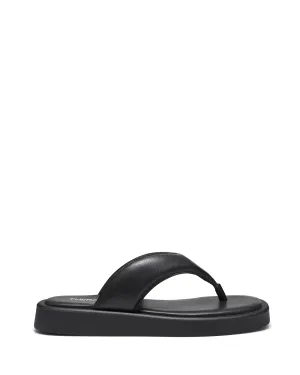 Pace Black *FINAL SALE*