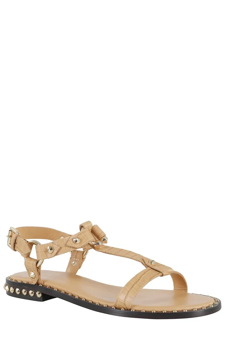 Patsy Sandal