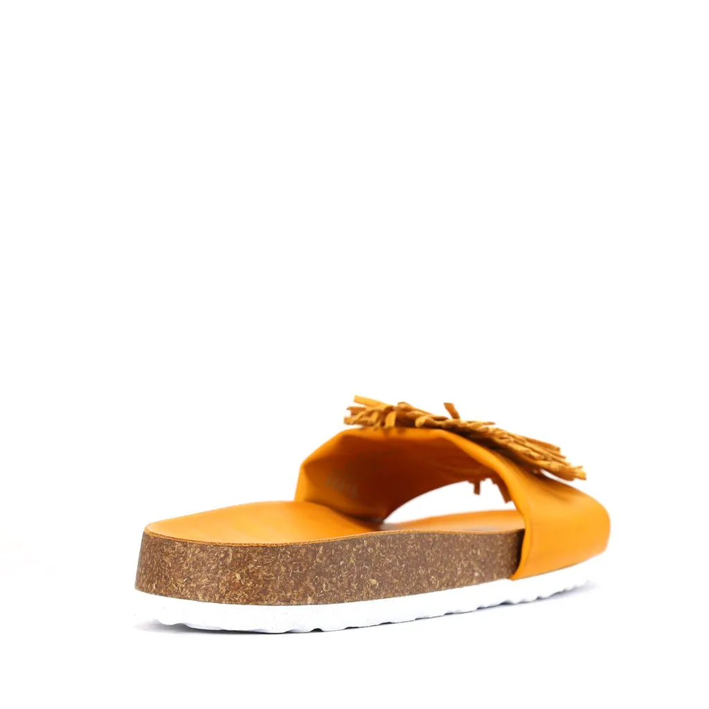Prime Slides