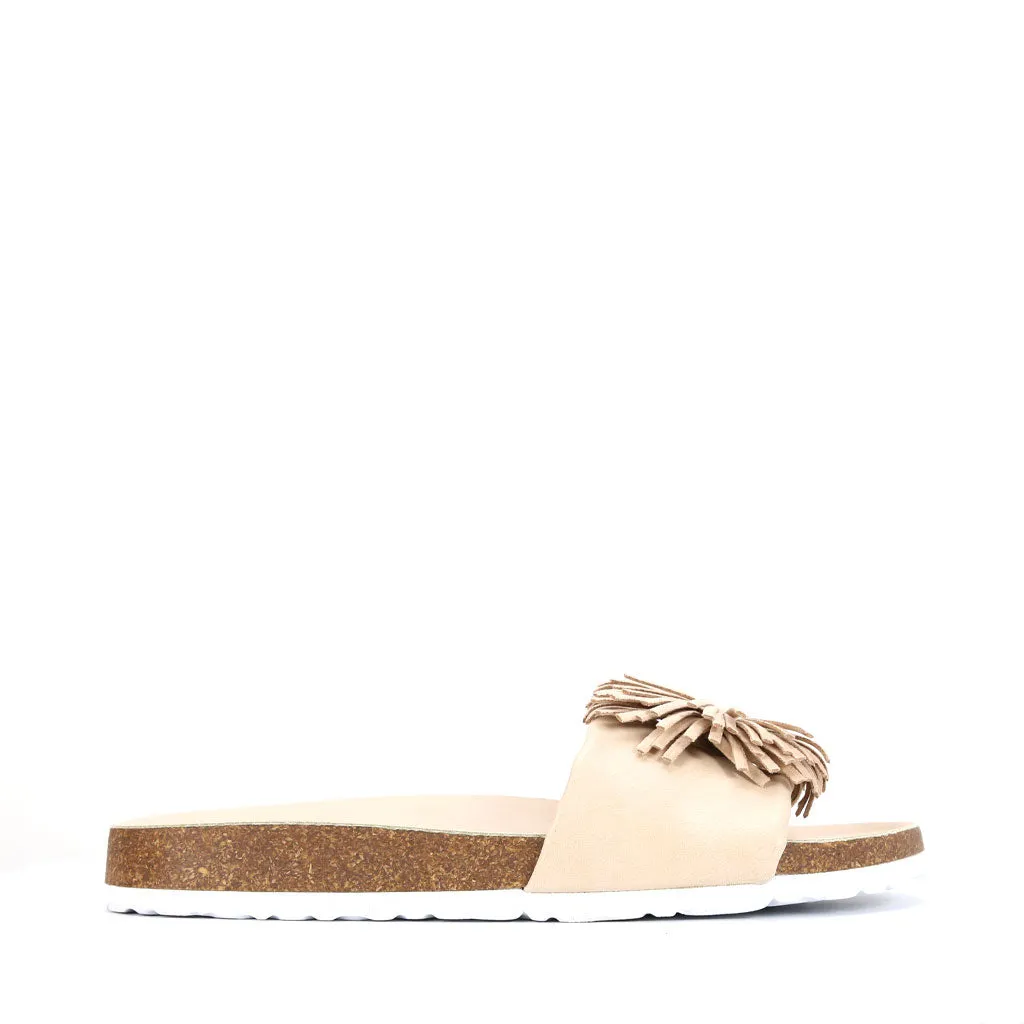 Prime Slides