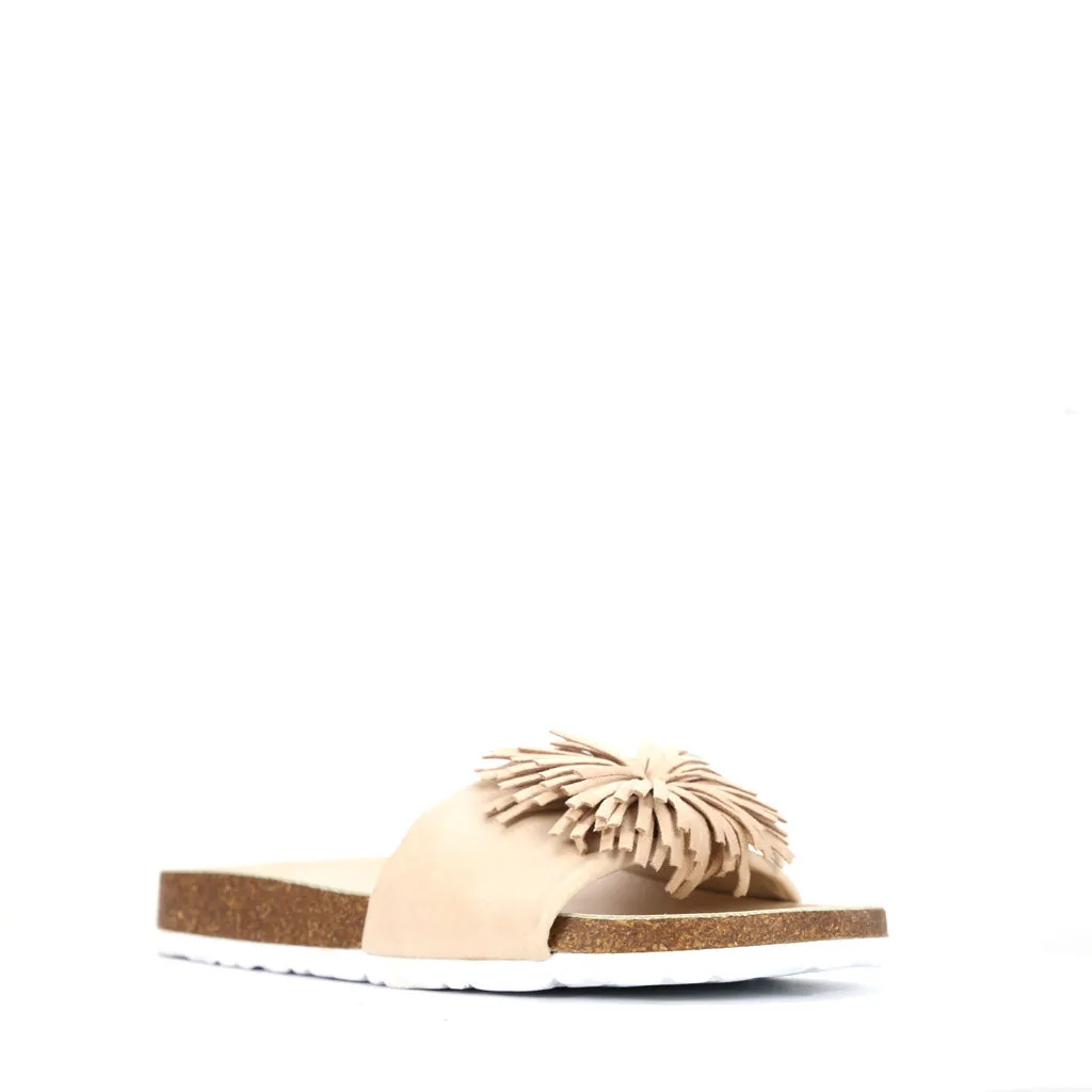 Prime Slides