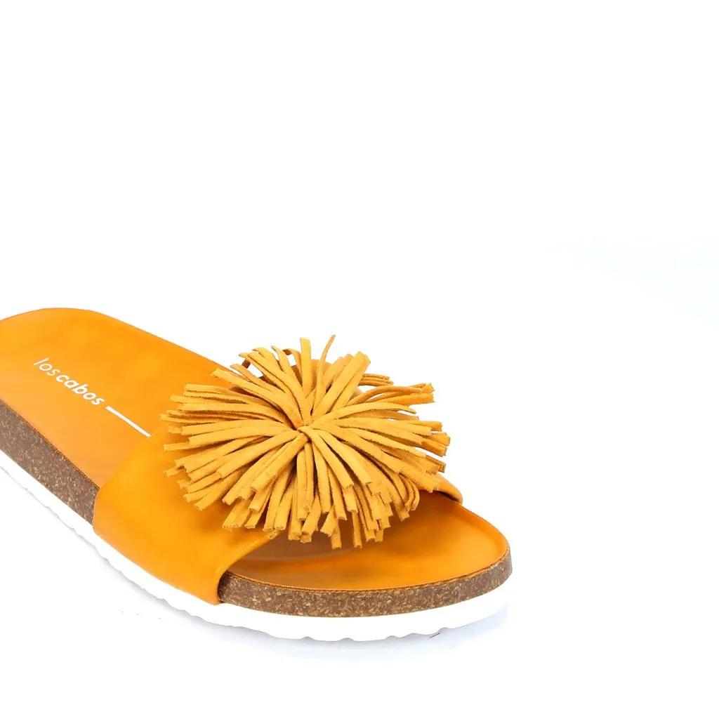 Prime Slides
