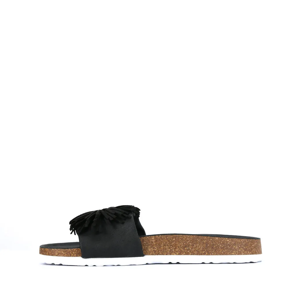 Prime Slides