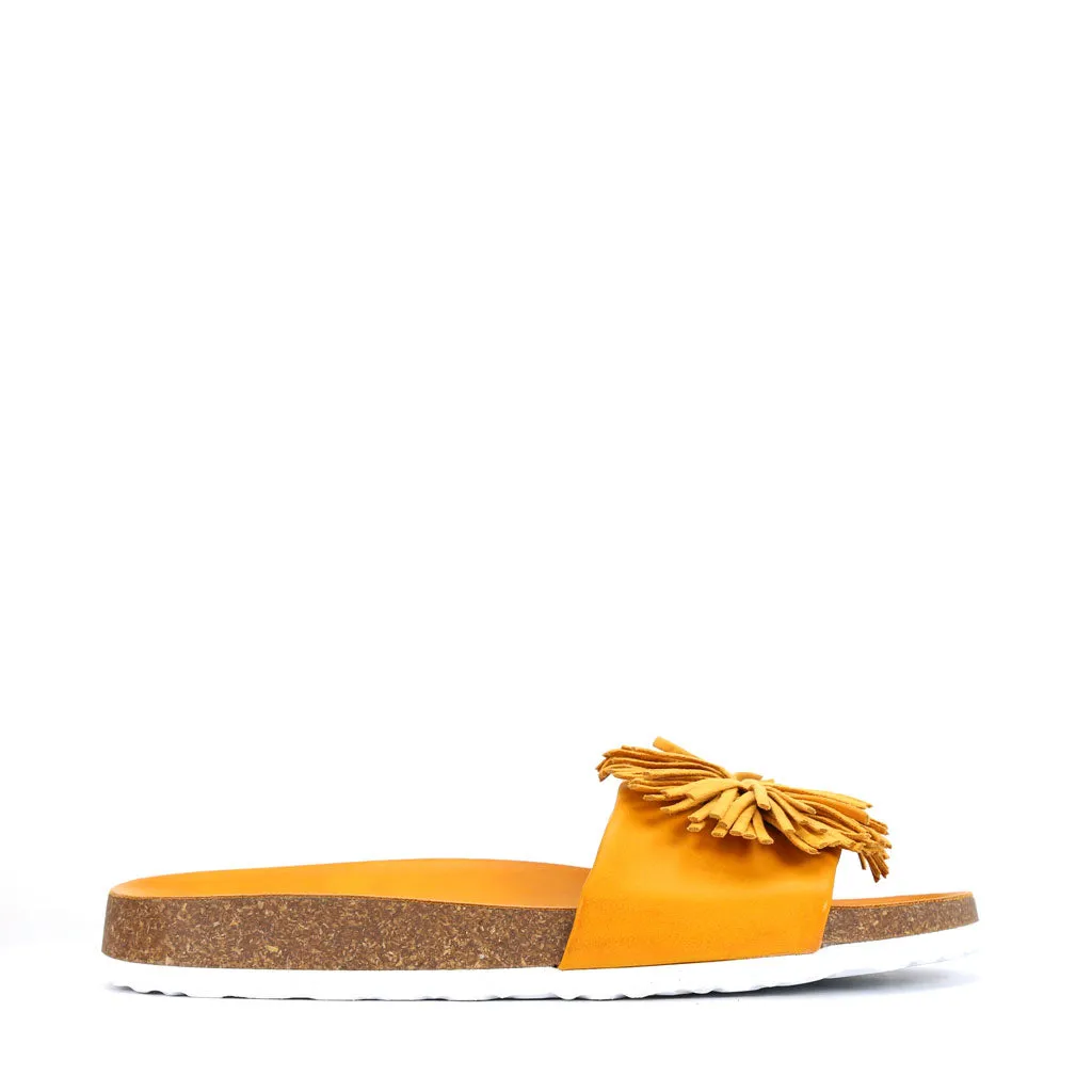 Prime Slides