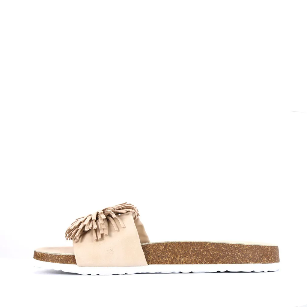 Prime Slides