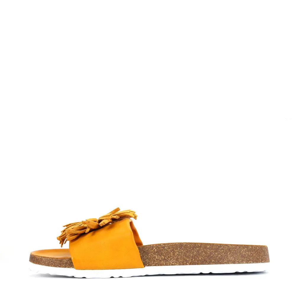 Prime Slides