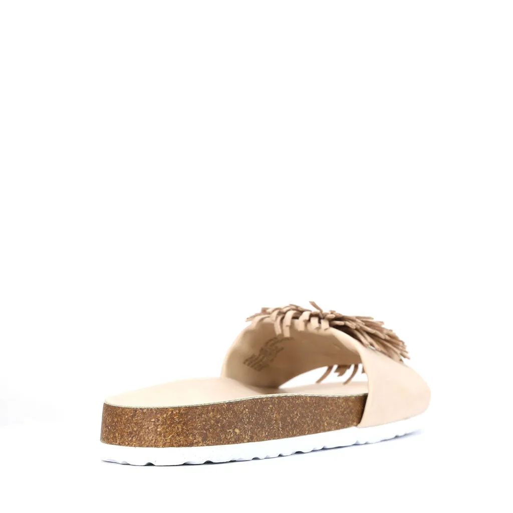 Prime Slides