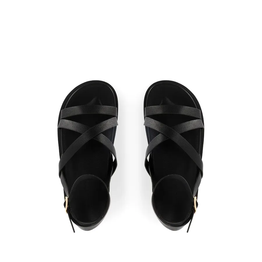 TULSI - BLACK